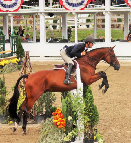 Blowing Rock Charity Horse Show.jpg